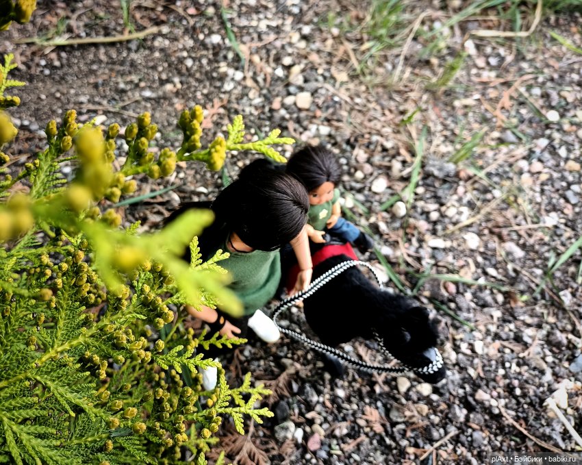 Вне истории. Пока мама нас не видит (фото 10)