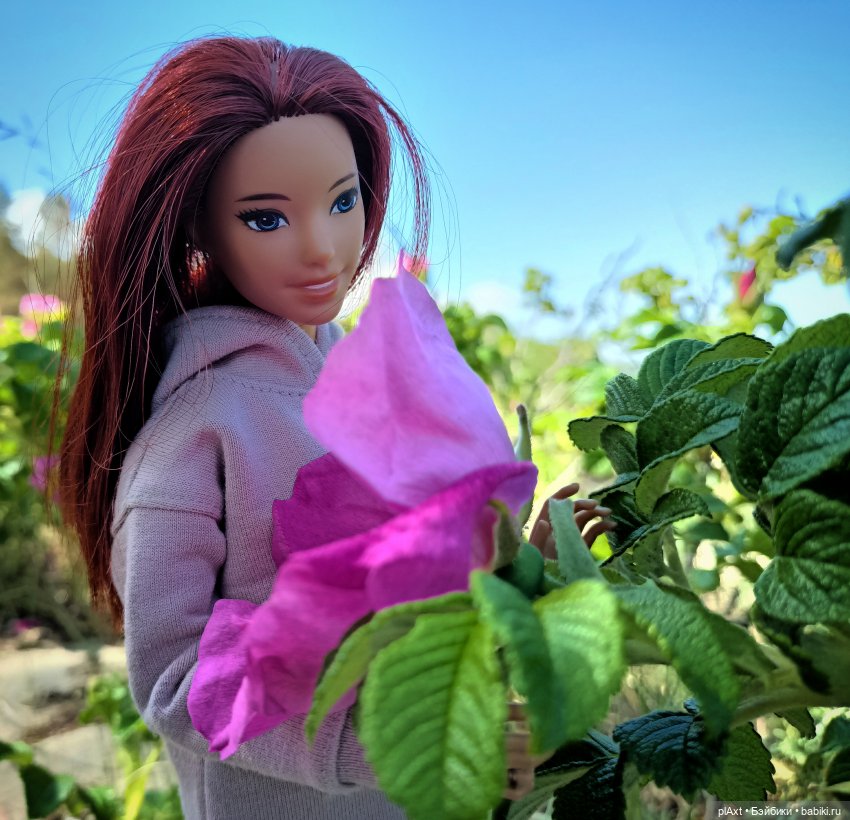 Вне истории. Мёд и Балтика. День 1. Ознакомление (фото 4)