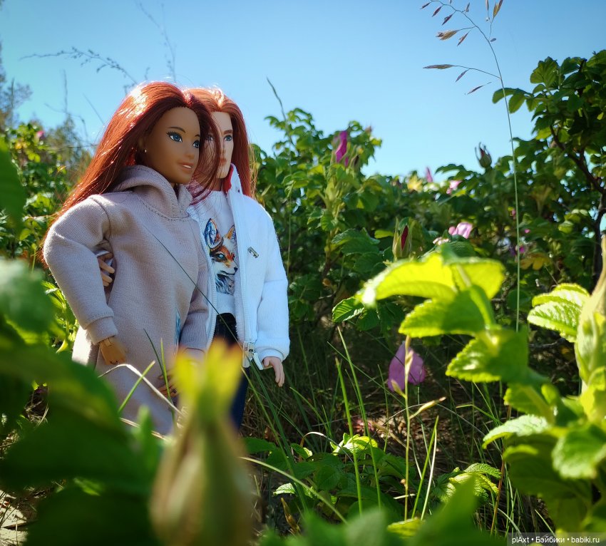 Вне истории. Мёд и Балтика. День 1. Ознакомление (фото 3)