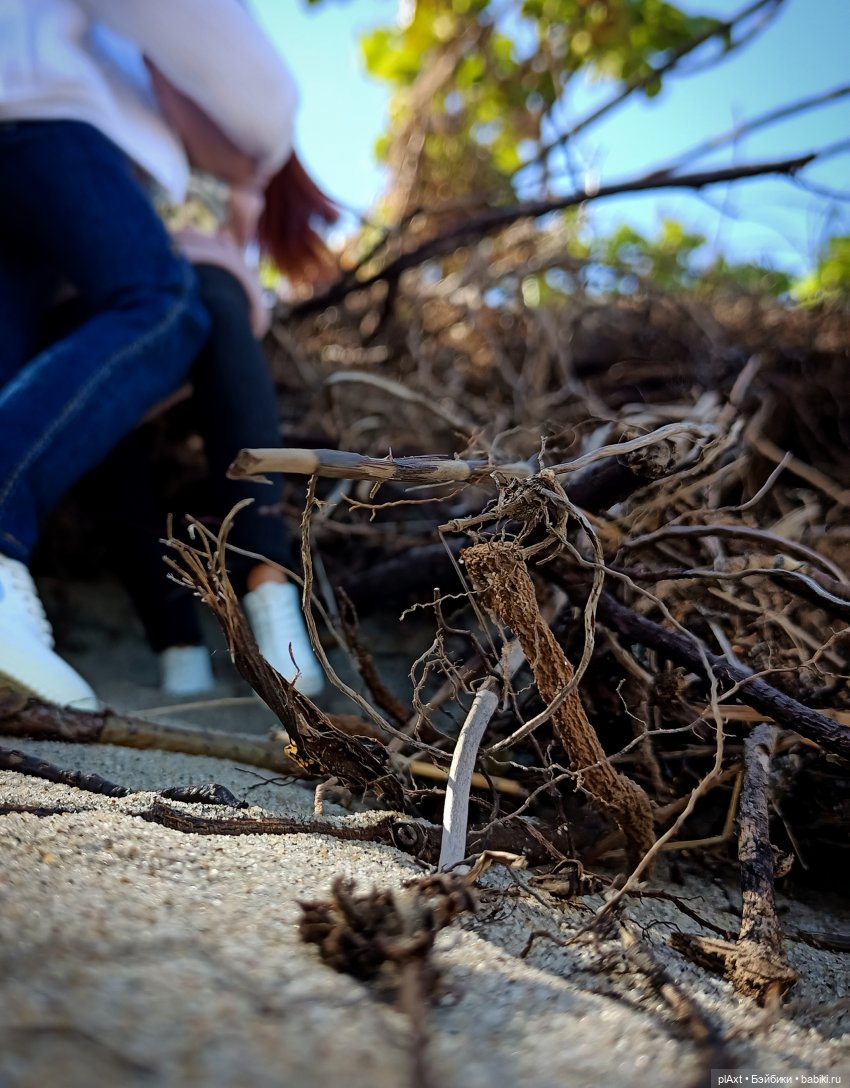 Вне истории. Мёд и Балтика. День 1. Ознакомление (фото 9)