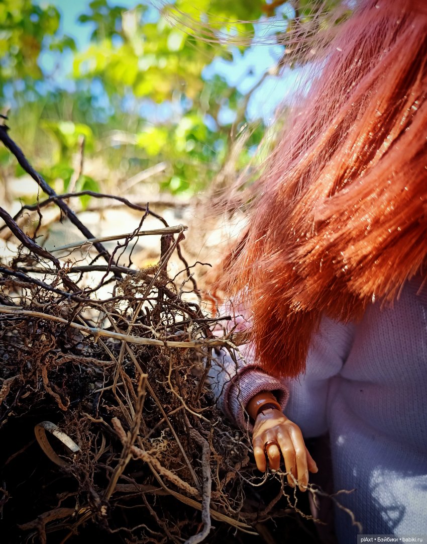 Вне истории. Мёд и Балтика. День 1. Ознакомление