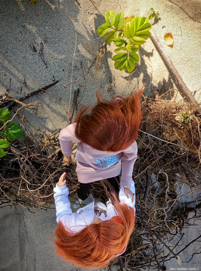 Вне истории. Мёд и Балтика. День 1. Ознакомление (фото 8)