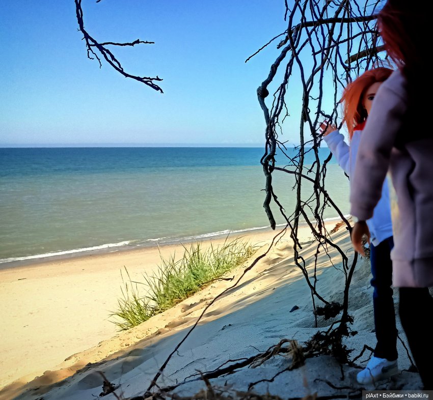 Вне истории. Мёд и Балтика. День 1. Ознакомление