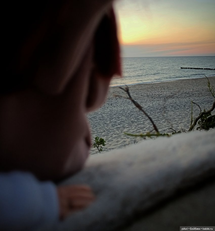 Вне истории. Мёд и Балтика. День 1. Ознакомление