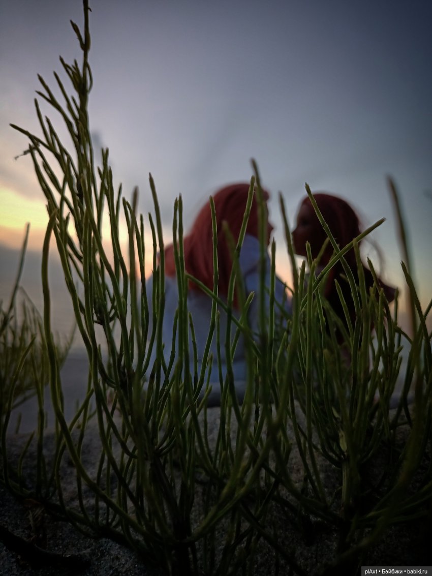 Вне истории. Мёд и Балтика. День 1. Ознакомление