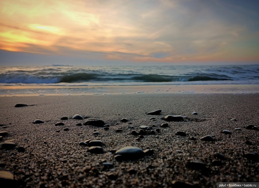 Вне истории. Мёд и Балтика. День 1. Ознакомление