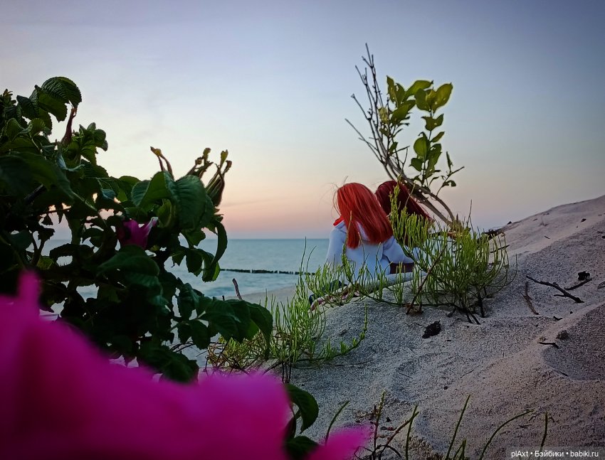 Вне истории. Мёд и Балтика. День 1. Ознакомление