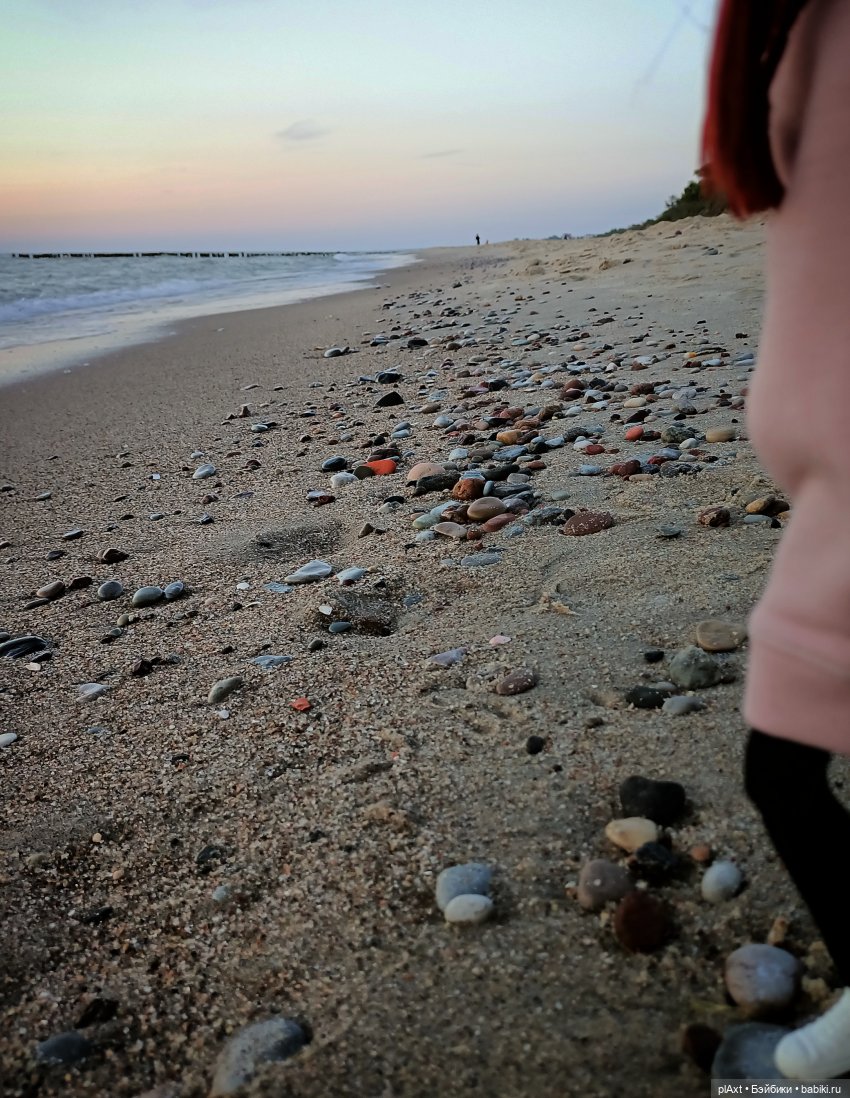 Вне истории. Мёд и Балтика. День 1. Ознакомление