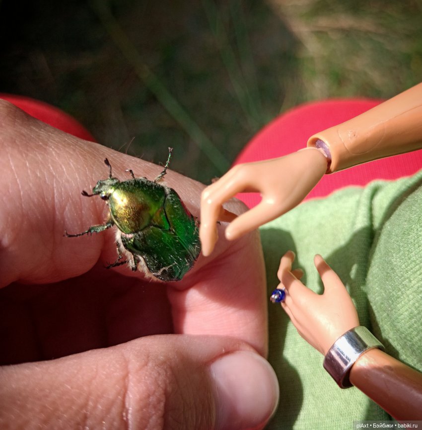 Вне истории. Мёд и Балтика. День 2. Шляпка (фото 7)