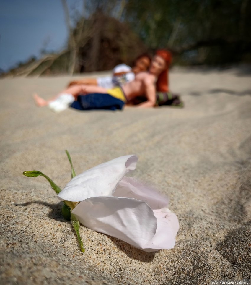 Вне истории. Мёд и Балтика. День 2. Шляпка