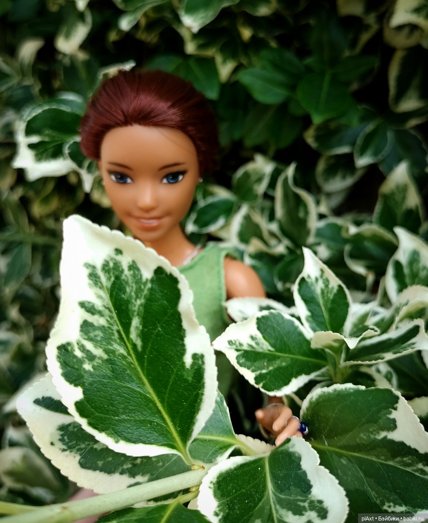 Вне истории. Мёд и Балтика. День 2. Шляпка (фото 3)