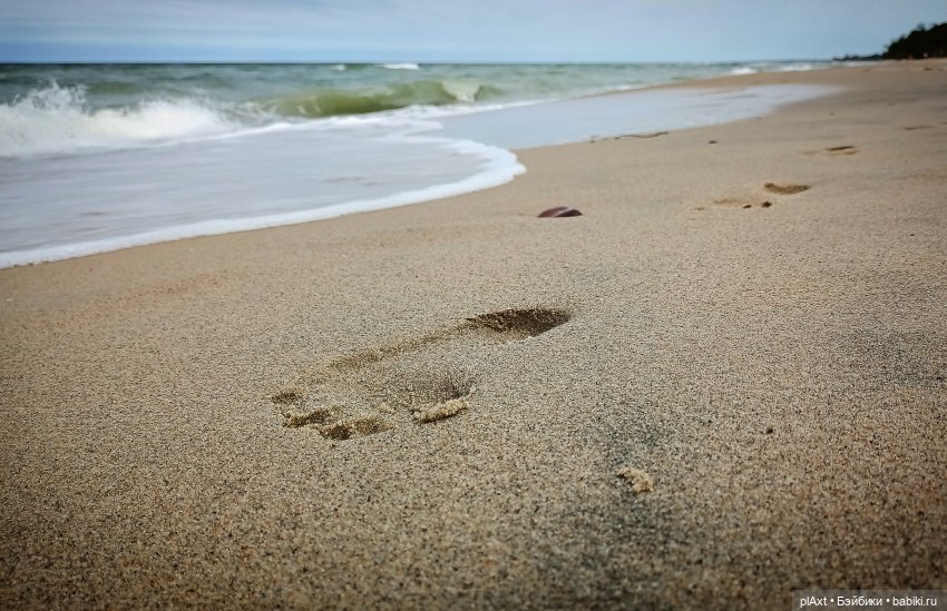 Вне истории. Мёд и Балтика. День 2. Шляпка
