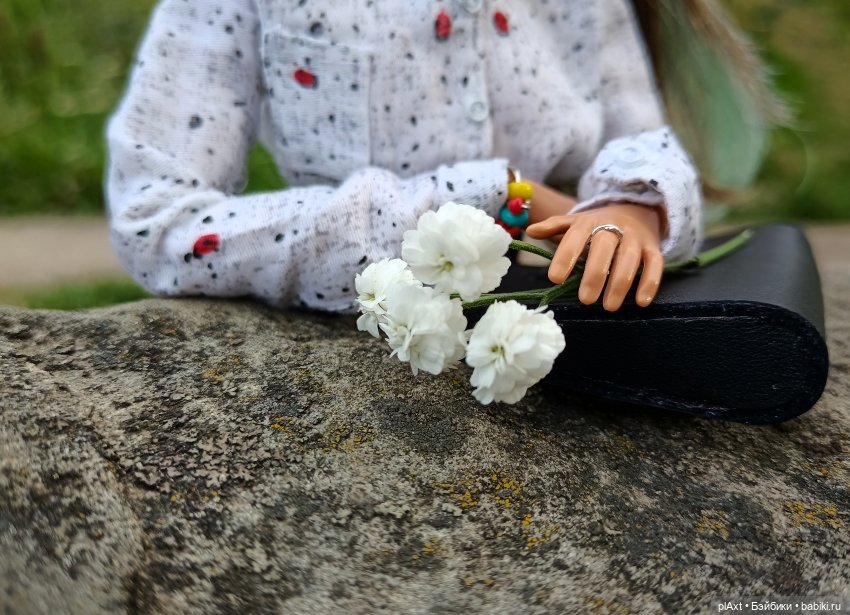 Алина Юрьевна и Алинка — Куклы Barbie (Барби): Looks (фото 9)