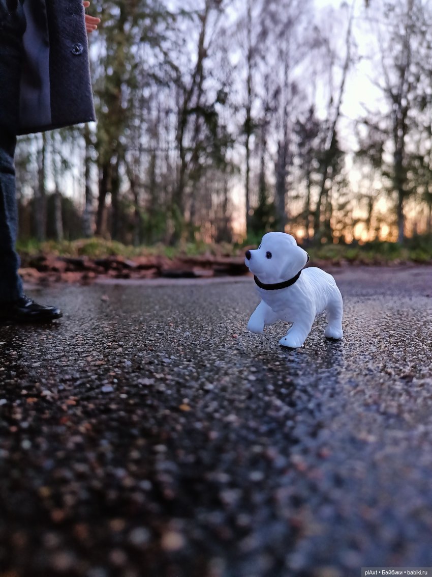 60. Сашенька — Кукольные фотоистории и сериалы: комиксы (фото 3)