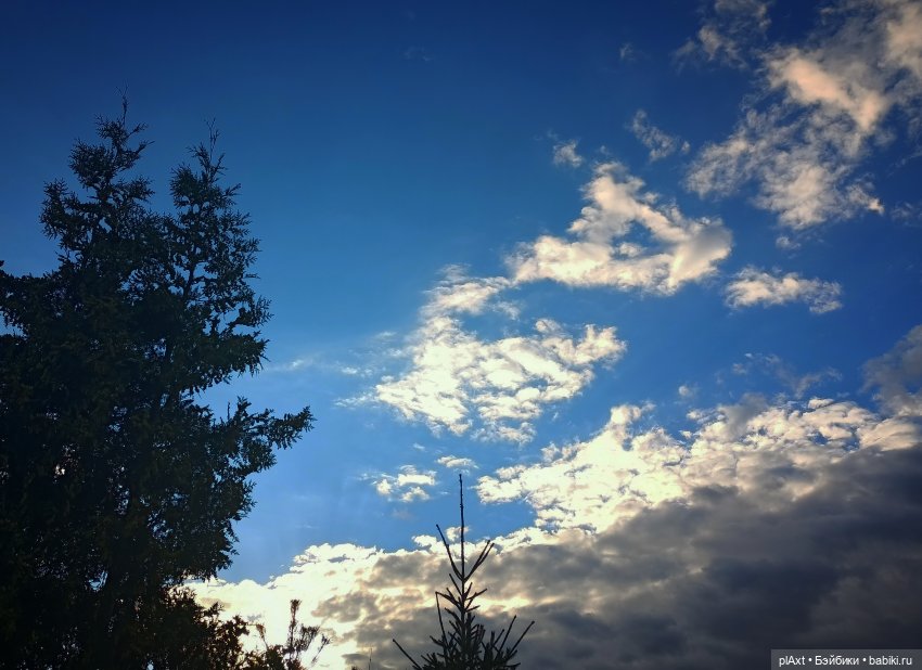 Первый пост осени — Куклы Paola Reina (Паола Рейна): новинки