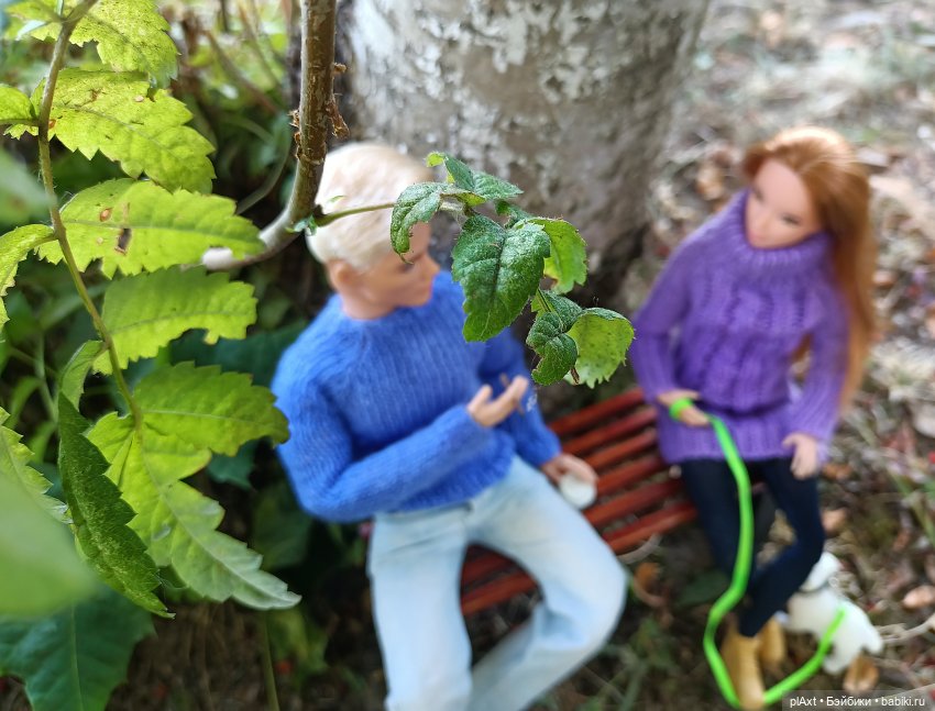 60. Сашенька — Кукольные фотоистории и сериалы: комиксы