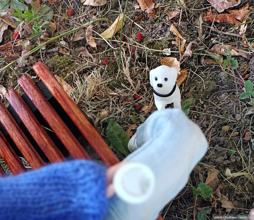 60. Сашенька — Кукольные фотоистории и сериалы: комиксы