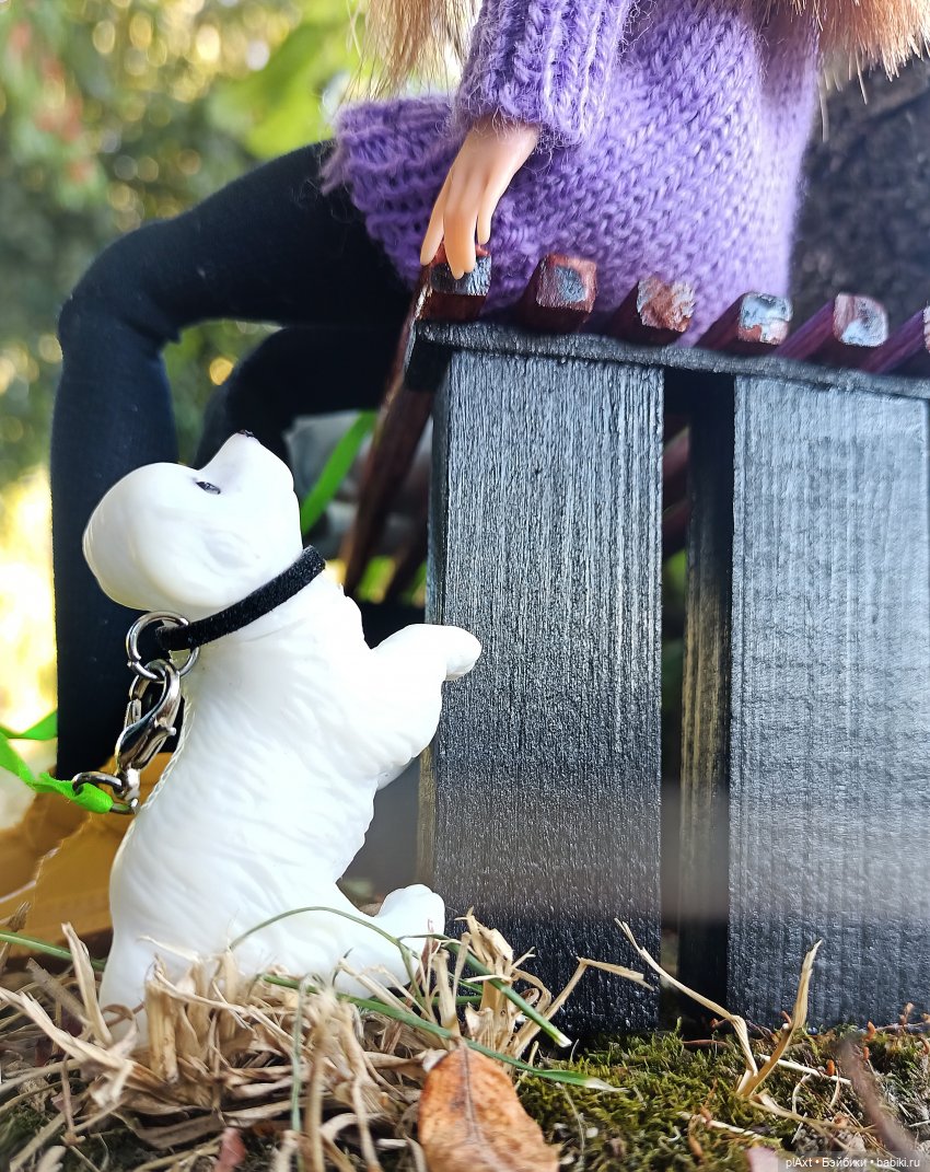 60. Сашенька — Кукольные фотоистории и сериалы: комиксы