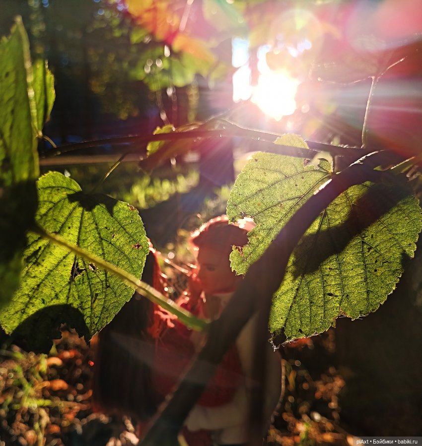 Вне истории. ЛиС. "Час свободы" - Бабушкам посвящается. Прогулка