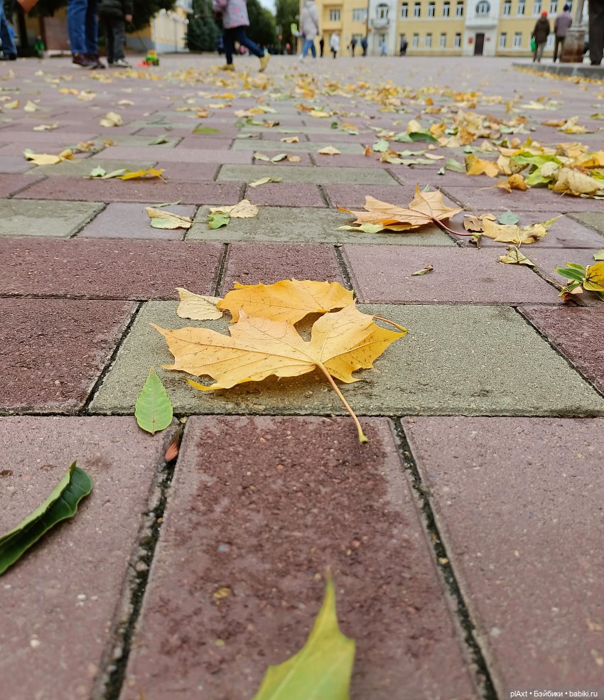 Осенняя Феерия. Муз.композиция "Осенний клён"