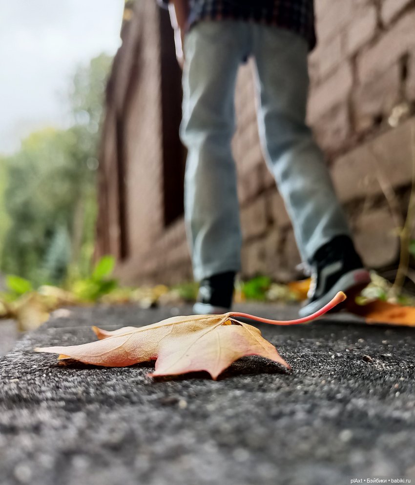 Осенняя Феерия. Муз.композиция "Осенний клён"