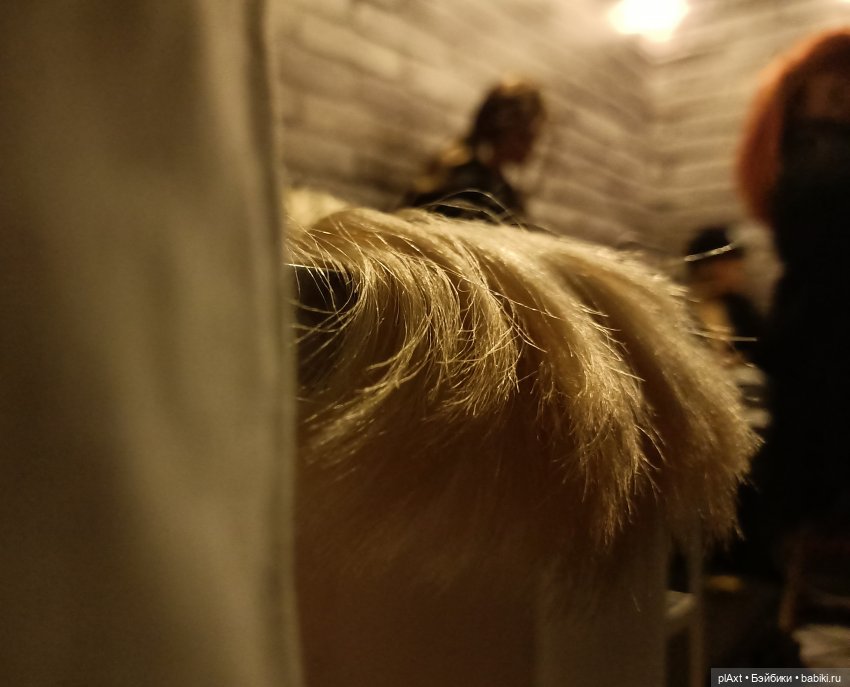 Тело (МультFильмы) в исполнении MadFox (16+)