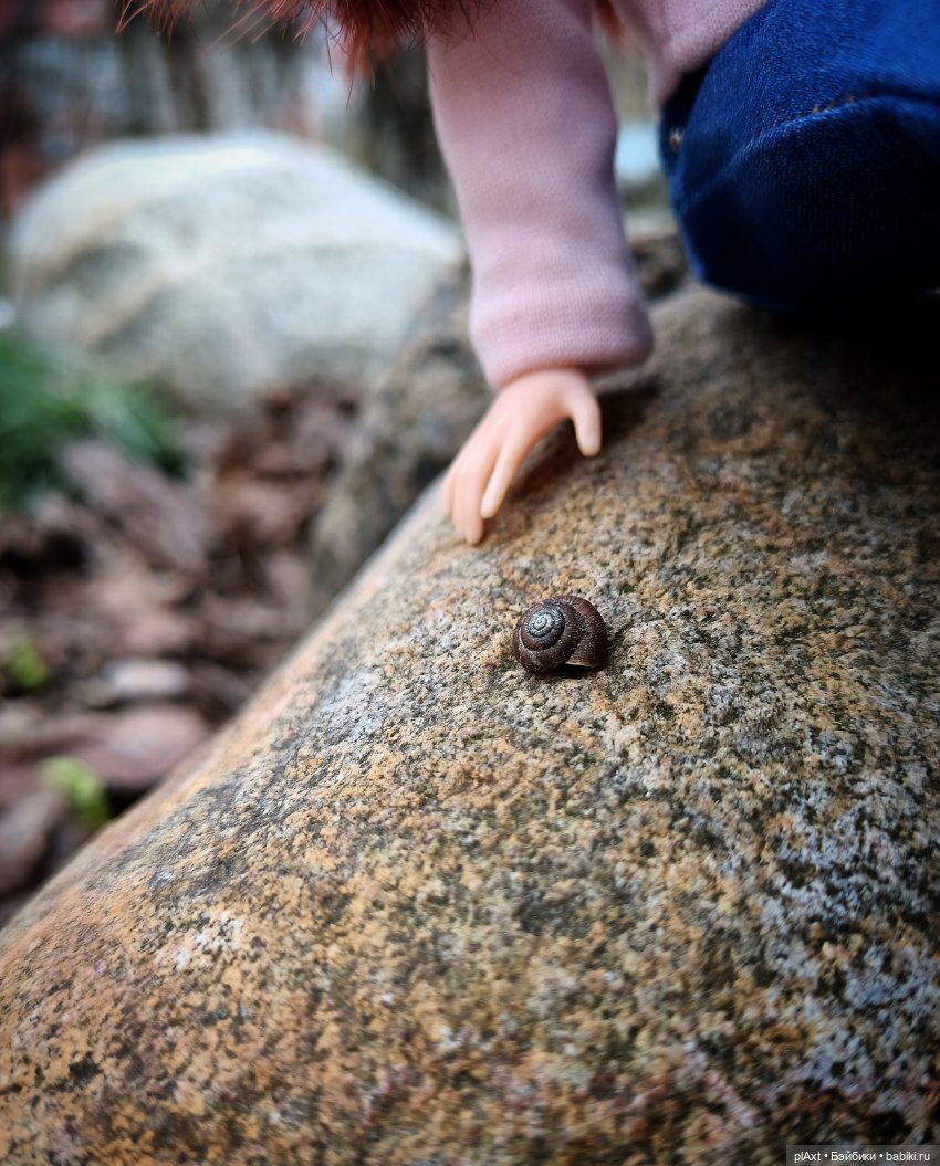 Просто Анечка... о о О — Куклы Barbie (Барби): Looks (фото 10)