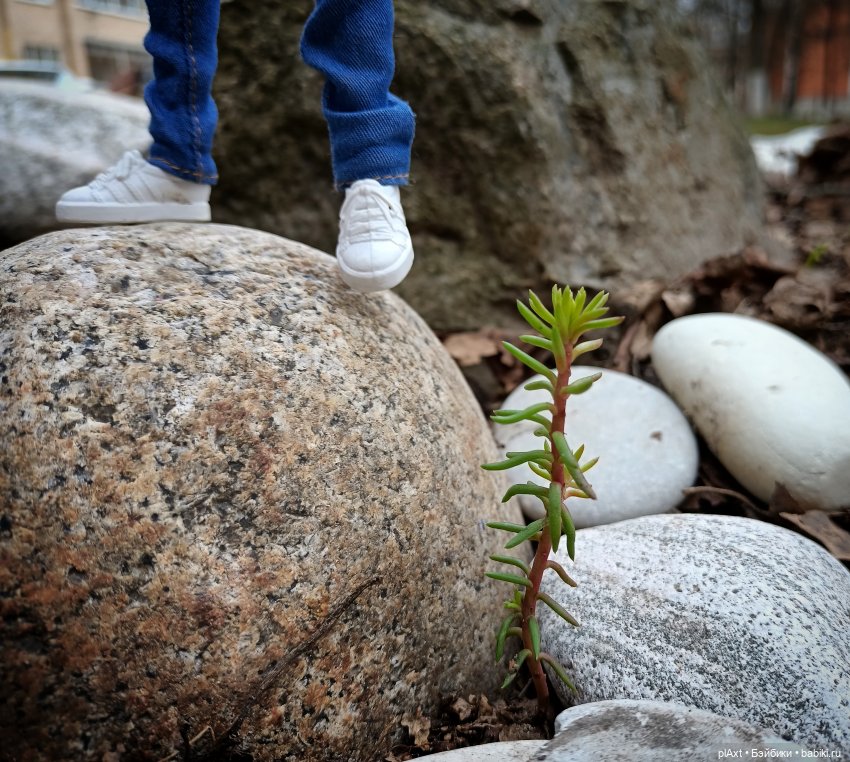 Просто Анечка... о о О — Куклы Barbie (Барби): Looks