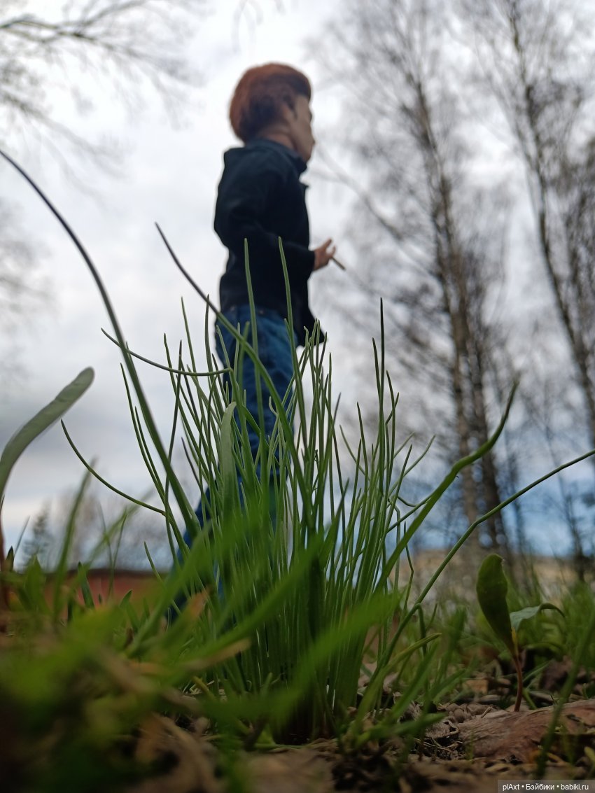 Новенький, которого я | Бэйбики Новенький, которого я — Куклы Barbie (Барби): Looks