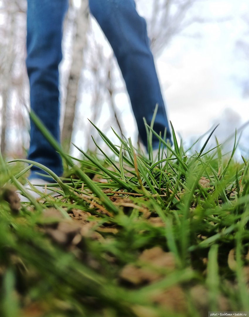 Новенький, которого я | Бэйбики Новенький, которого я — Куклы Barbie (Барби): Looks