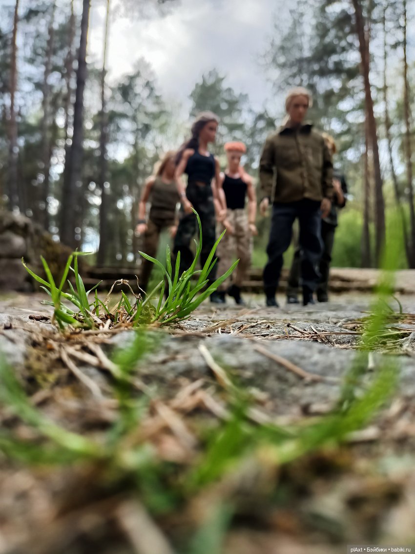 MadFox. Воины всей Земли — Куклы Barbie (Барби): Looks