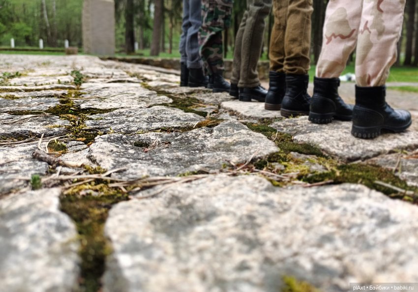 MadFox. Воины всей Земли — Куклы Barbie (Барби): Looks