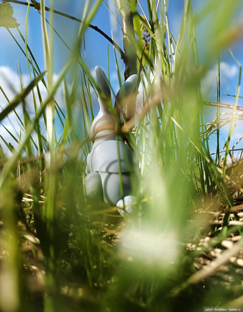 Кроля на выгуле | Бэйбики Кроля на выгуле — Разные куклы BJD (БЖД): редкие бренды