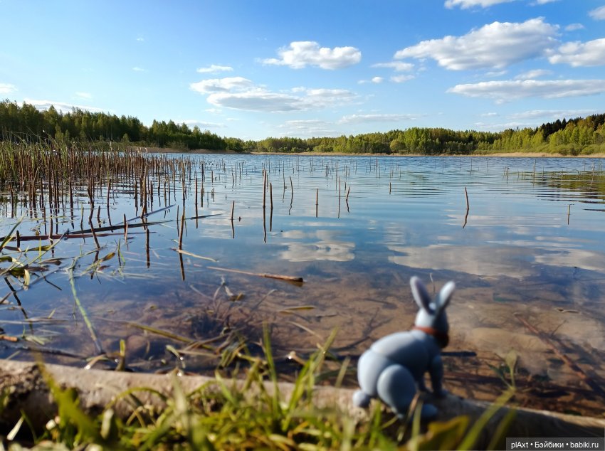 Кроля на выгуле | Бэйбики Кроля на выгуле — Разные куклы BJD (БЖД): редкие бренды