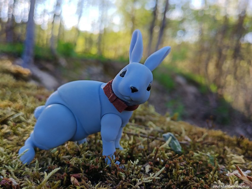 Кроля на выгуле | Бэйбики Кроля на выгуле — Разные куклы BJD (БЖД): редкие бренды