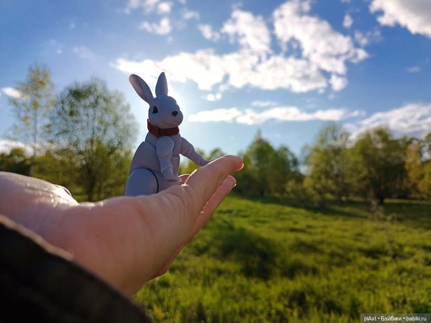 Кроля на выгуле | Бэйбики Кроля на выгуле — Разные куклы BJD (БЖД): редкие бренды