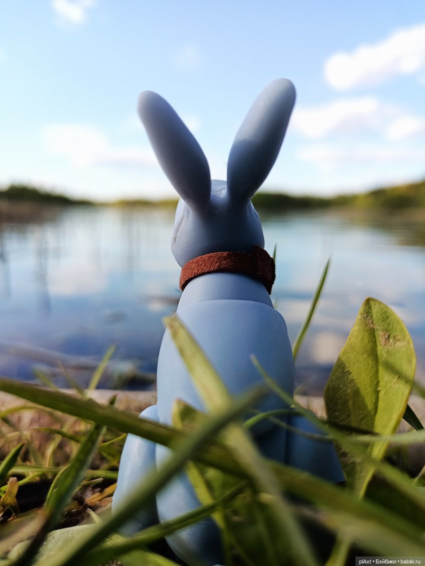 Кроля на выгуле | Бэйбики Кроля на выгуле — Разные куклы BJD (БЖД): редкие бренды