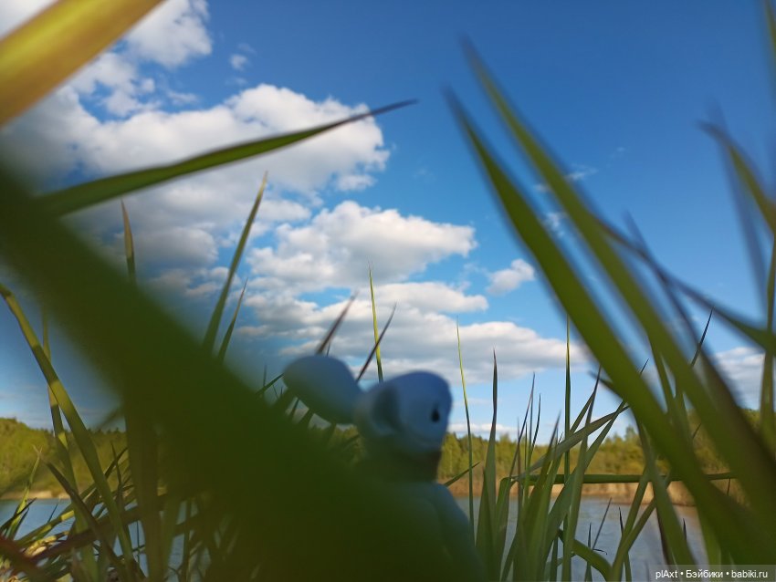 Кроля на выгуле | Бэйбики Кроля на выгуле — Разные куклы BJD (БЖД): редкие бренды