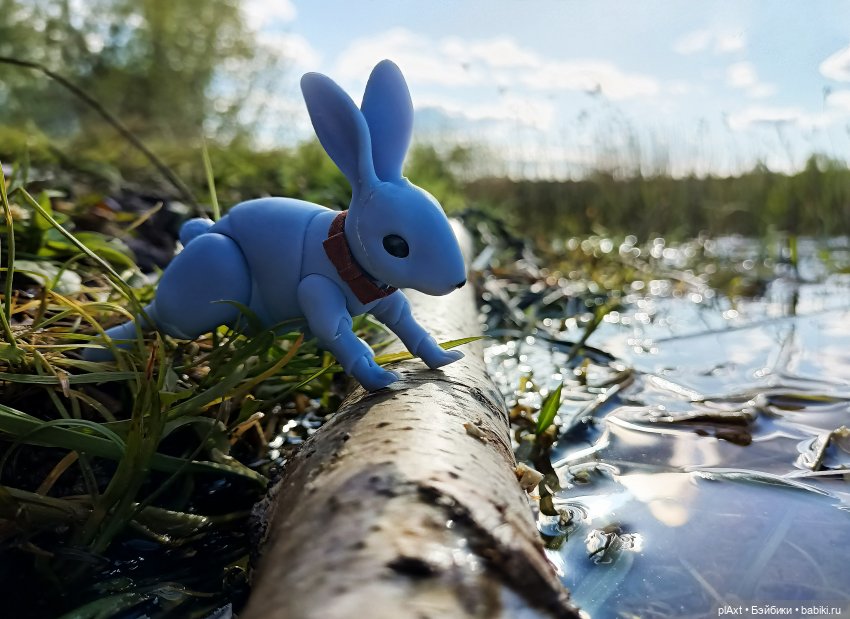 Кроля на выгуле | Бэйбики Кроля на выгуле — Разные куклы BJD (БЖД): редкие бренды