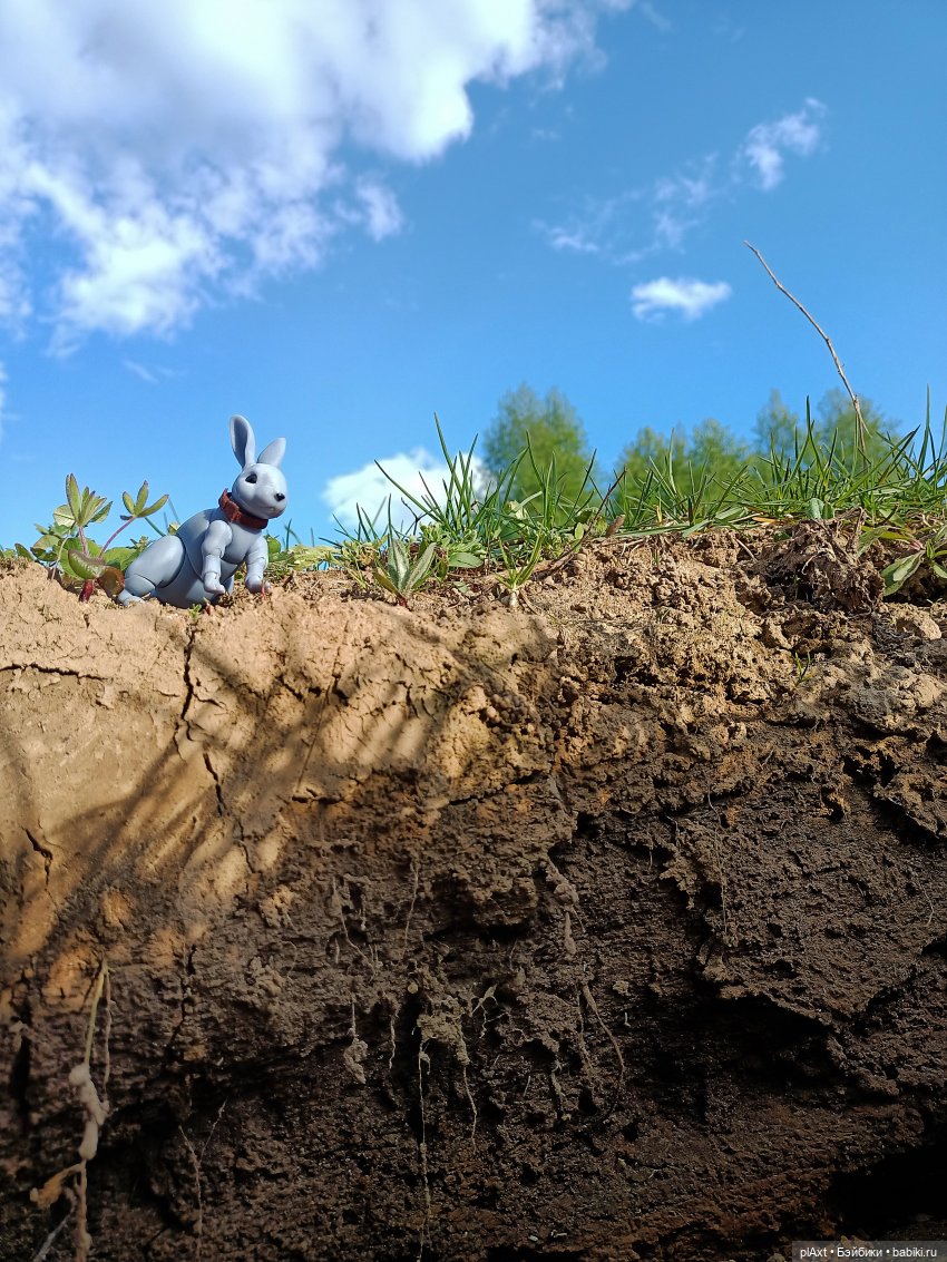 Кроля на выгуле | Бэйбики Кроля на выгуле — Разные куклы BJD (БЖД): редкие бренды (фото 9)