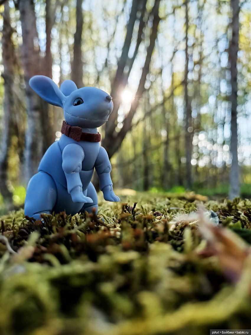 Кроля на выгуле | Бэйбики Кроля на выгуле — Разные куклы BJD (БЖД): редкие бренды