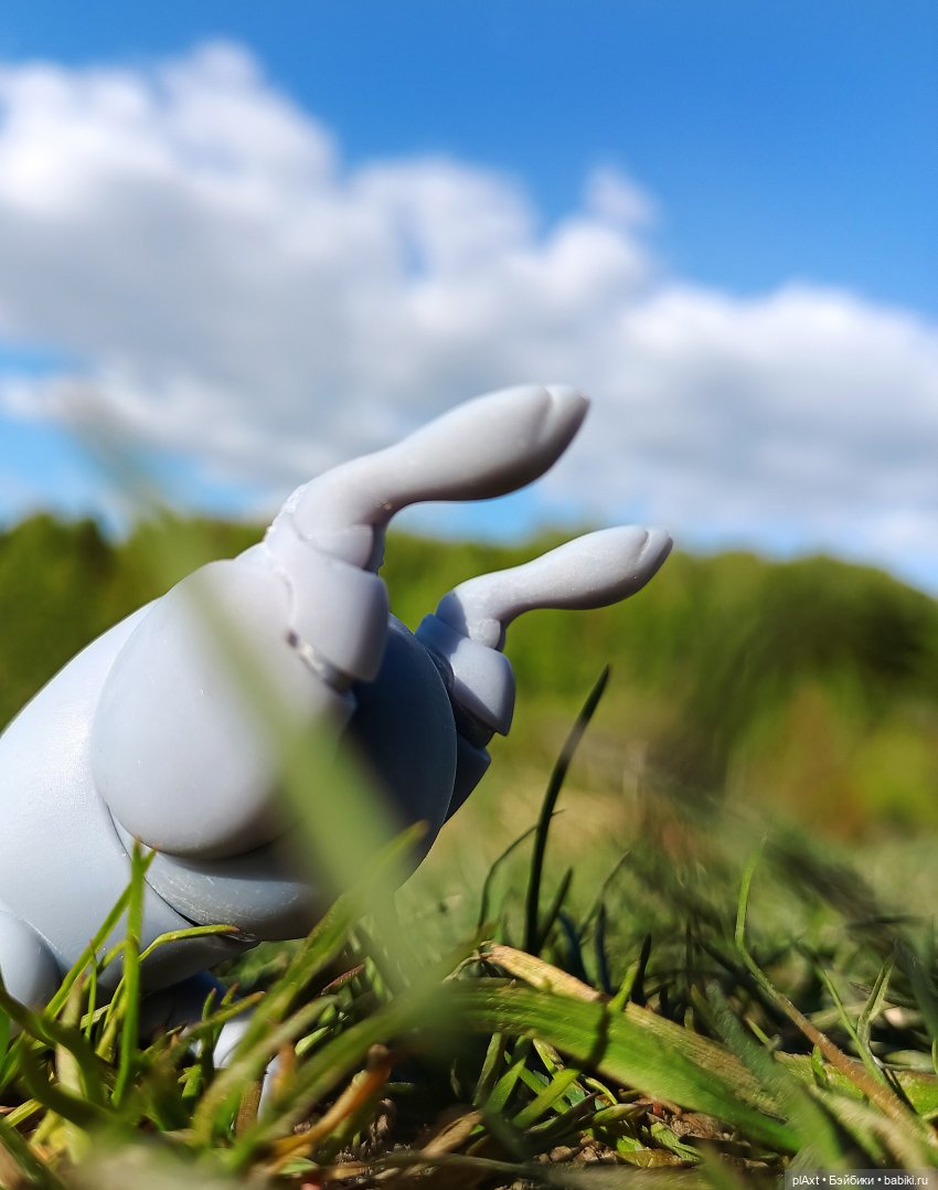 Кроля на выгуле | Бэйбики Кроля на выгуле — Разные куклы BJD (БЖД): редкие бренды (фото 7)