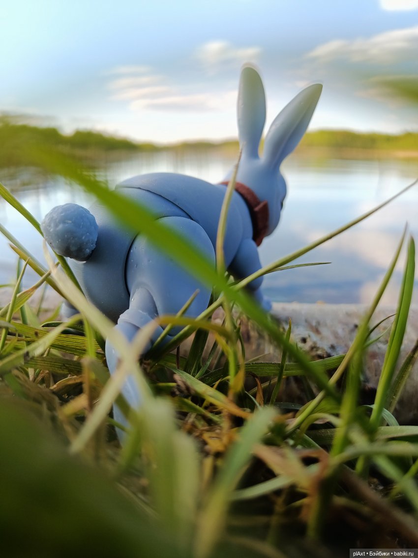 Кроля на выгуле | Бэйбики Кроля на выгуле — Разные куклы BJD (БЖД): редкие бренды