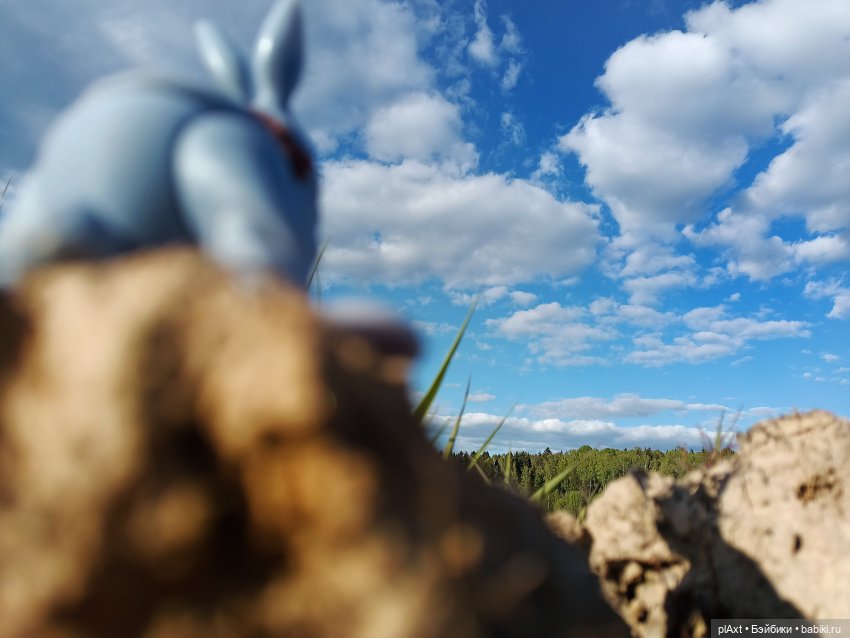 Кроля на выгуле | Бэйбики Кроля на выгуле — Разные куклы BJD (БЖД): редкие бренды