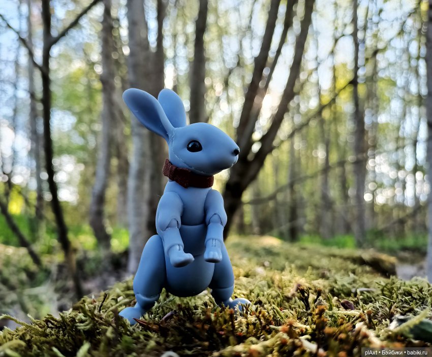 Кроля на выгуле | Бэйбики Кроля на выгуле — Разные куклы BJD (БЖД): редкие бренды