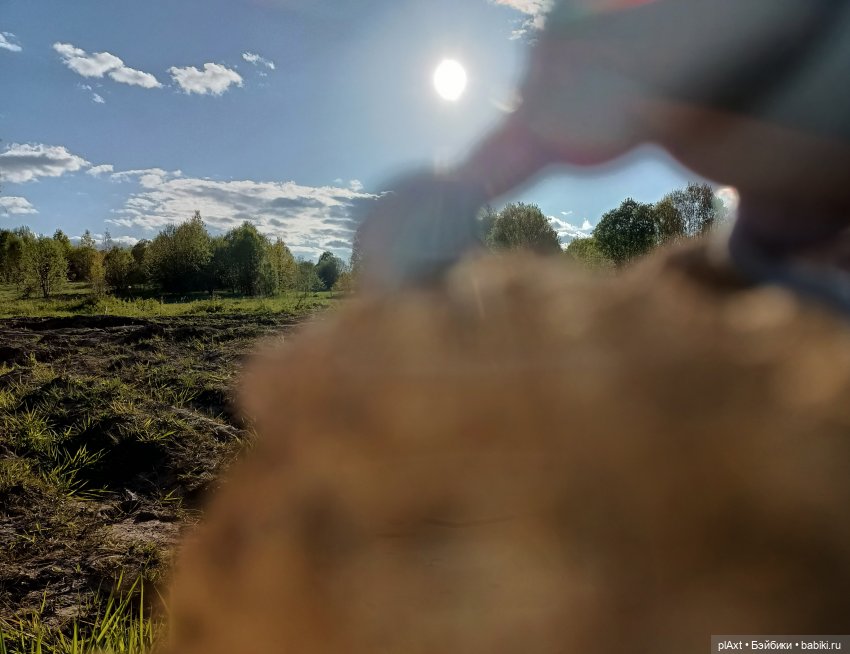 Кроля на выгуле | Бэйбики Кроля на выгуле — Разные куклы BJD (БЖД): редкие бренды