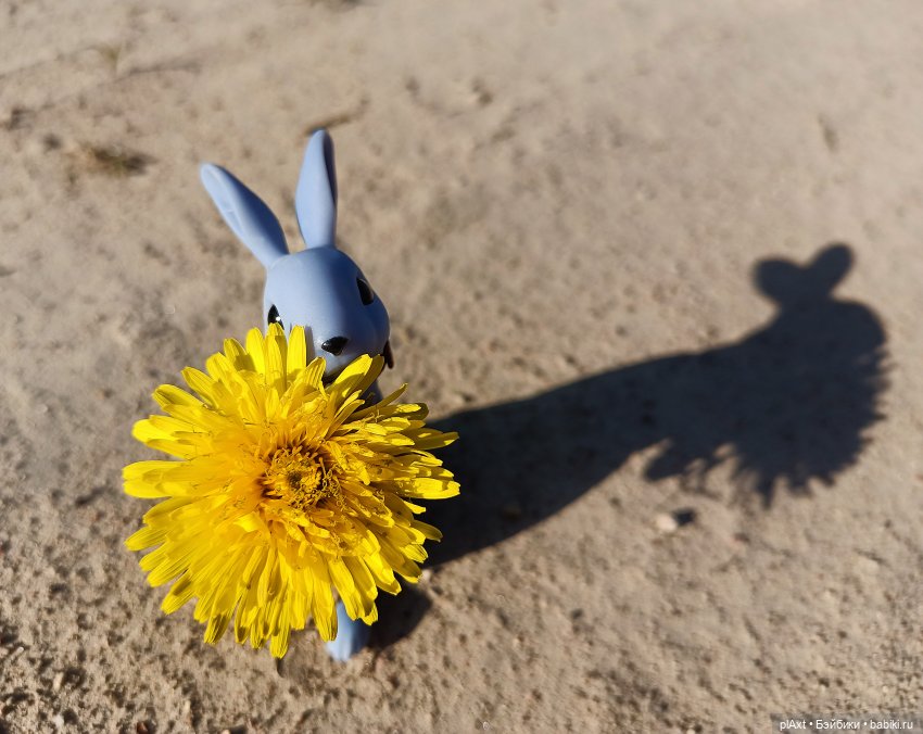 Кроля на выгуле | Бэйбики Кроля на выгуле — Разные куклы BJD (БЖД): редкие бренды (фото 6)