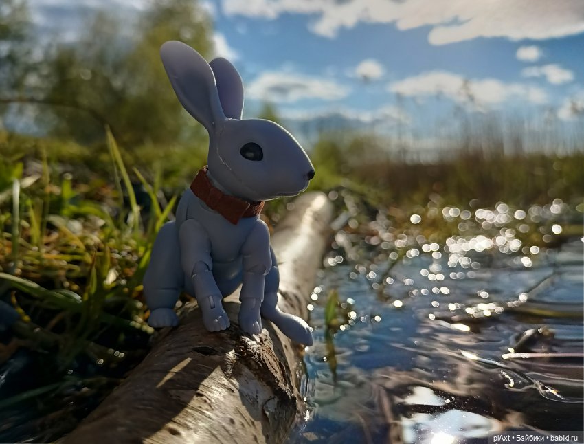 Кроля на выгуле | Бэйбики Кроля на выгуле — Разные куклы BJD (БЖД): редкие бренды