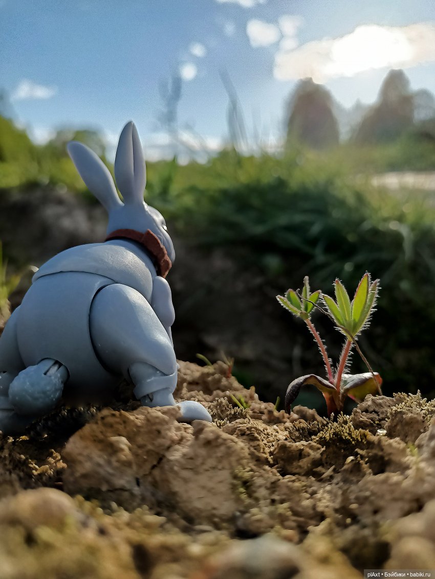 Кроля на выгуле | Бэйбики Кроля на выгуле — Разные куклы BJD (БЖД): редкие бренды (фото 8)