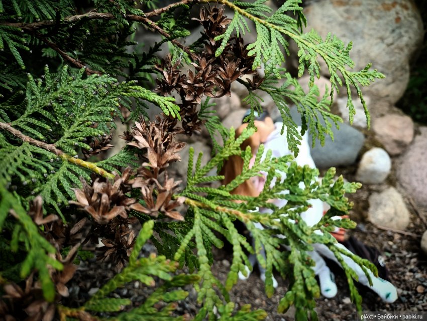 Сашенька и Дэн — Куклы Barbie (Барби): Looks